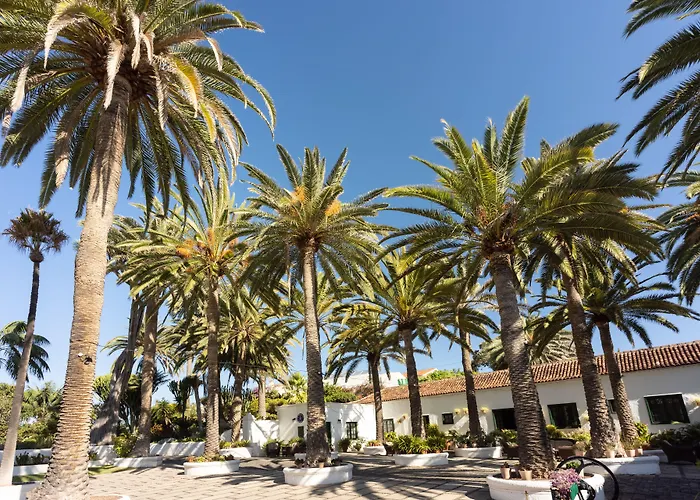 El Patio Garachico (Tenerife)